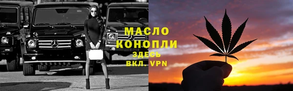 стаф Болхов