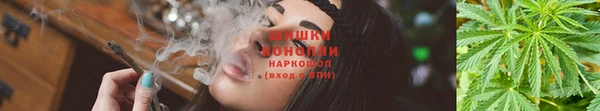 стаф Болхов