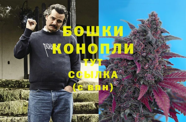 бошки Кострома