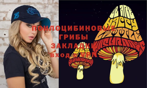 бошки Кострома