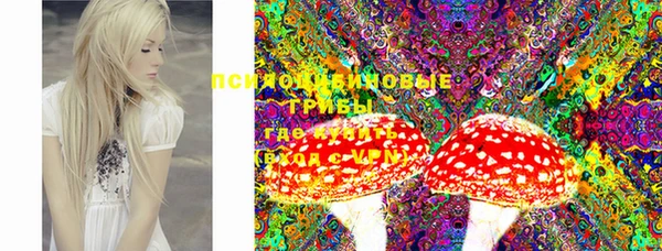 бошки Кострома