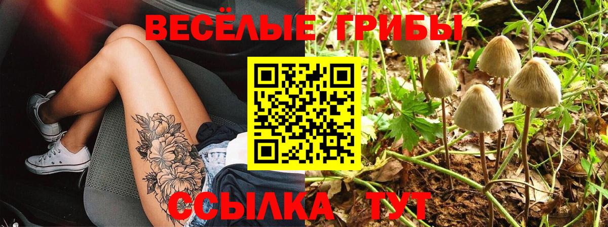 Галлюциногенные грибы ЛСД Асбест