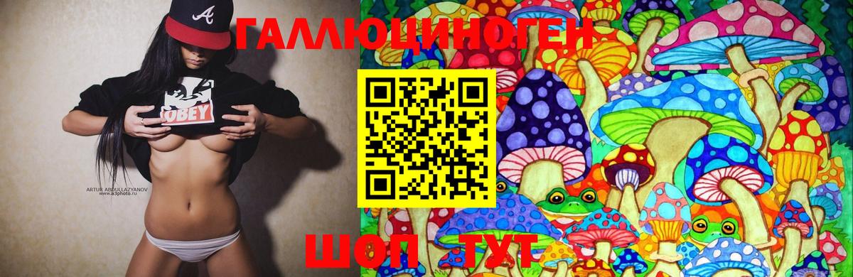 Галлюциногенные грибы Cubensis  цены   Асбест  Галлюциногенные грибы Magic Shrooms 