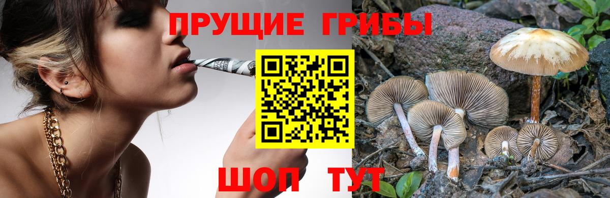 Асбест  Галлюциногенные грибы Psilocybine cubensis  Вход с VPN 